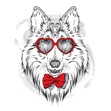Kalp gözlüklü şirin köpek. St. Valentine's Day. Vektör çizim.