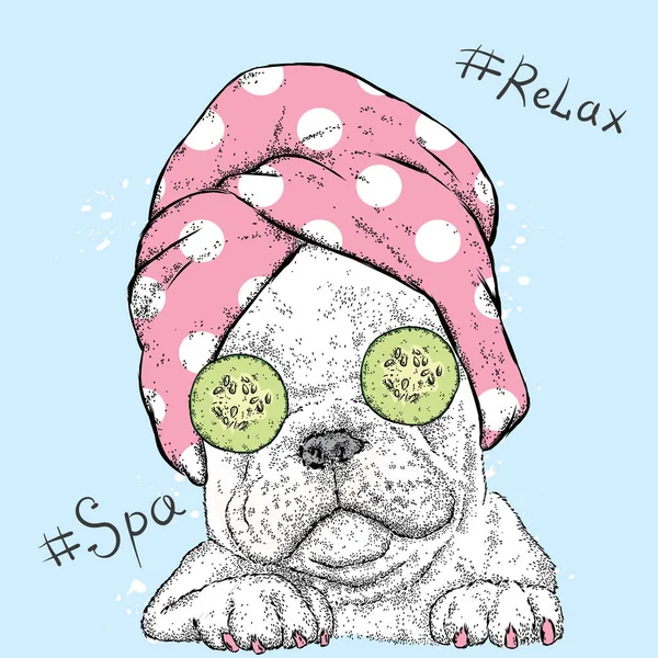 Schattig Bulldog in een handdoek met komkommers op haar ogen. Spa-behandeling. Vectorillustratie. — Stockvector