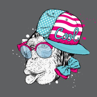 Komik maymun kap ve şık güneş gözlüğü. Bir kartı veya poster, elbiselere yazdırma için vektör çizim.