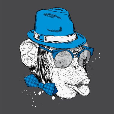 Komik maymun şık bir şapka ve güneş gözlüğü. Bir kartı veya poster, elbiselere yazdırma için vektör çizim.