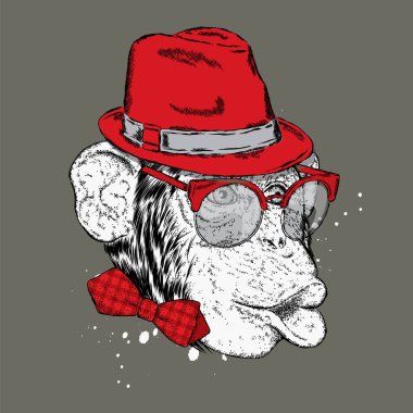 Komik maymun şık bir şapka ve güneş gözlüğü. Bir kartı veya poster, elbiselere yazdırma için vektör çizim.