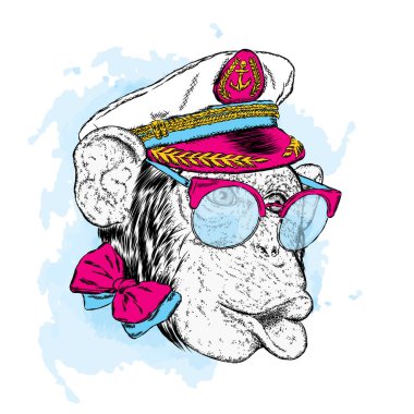 Kaptan'ın Cap sevimli maymun. Vektör çizim.