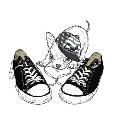 Sevimli köpek spor ayakkabıları ile oynuyor. Bir kartı veya poster için vektör çizim. Kıyafetlere yazdırma.