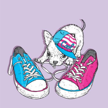 Sevimli köpek spor ayakkabıları ile oynuyor. Bir kartı veya poster için vektör çizim. Kıyafetlere yazdırma.