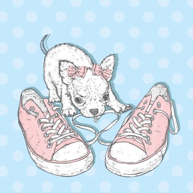 Sevimli köpek spor ayakkabıları ile oynuyor. Bir kartı veya poster için vektör çizim. Kıyafetlere yazdırma.