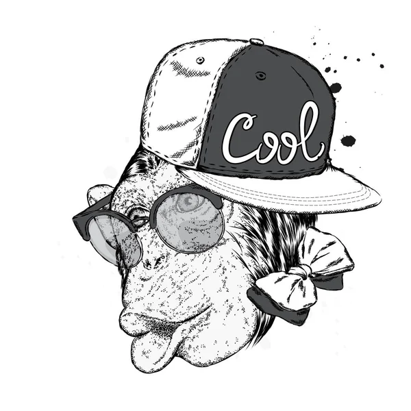 Gorra de mono divertida y gafas de sol con estilo. Ilustración vectorial para una tarjeta o póster, impresión en ropa . — Vector de stock