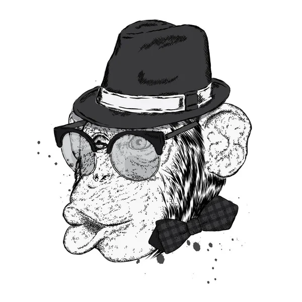 Scimmia divertente in un cappello elegante e occhiali da sole. Illustrazione vettoriale per una carta o un poster, stampa su vestiti . — Vettoriale Stock
