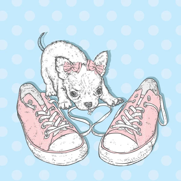 Sevimli köpek spor ayakkabıları ile oynuyor. Bir kartı veya poster için vektör çizim. Kıyafetlere yazdırma.