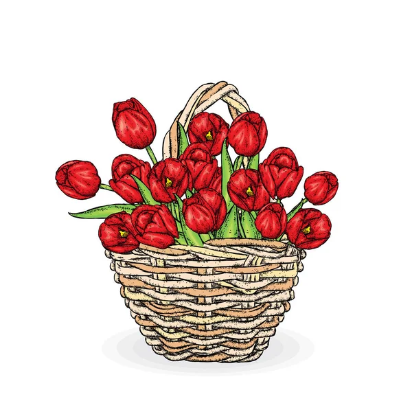 Einen schönen Strauß Tulpen in einem Weidenkorb. Vektorillustration. Frühlingsferien. Postkarte vom 8. März oder Ostern. — Stockvektor