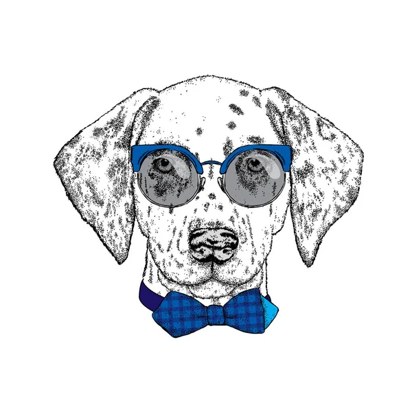 Beautiful dalmatian painted by hand. Vector illustration for a card or poster, print on clothes. Cute dog in glasses and tie. Pedigreed Puppy. — Stock Vector