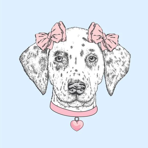 Cute dog wearing a collar with a heart and two bows. Beautiful dalmatian painted by hand. Vector illustration for a card or poster, print on clothes. Pedigreed Puppy. — Stock Vector