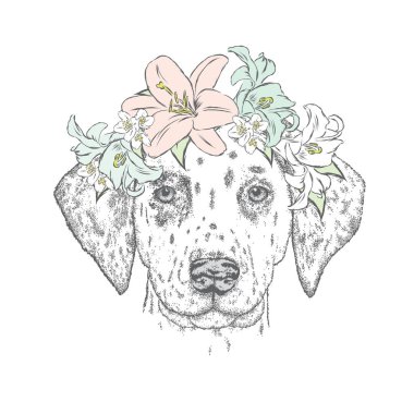 Çiçek çelenk içinde güzel yavru köpekti. Sevimli Dalmaçyalı. Vektör çizim. Köpek ve lilyum.