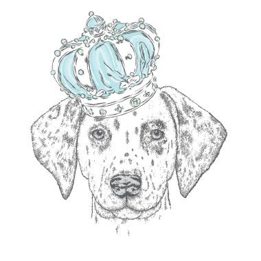 Lüks Crown güzel yavru köpekti. Bir kartı veya poster için vektör çizim. Şirin köpek. Dalmaçyalı - Kral.