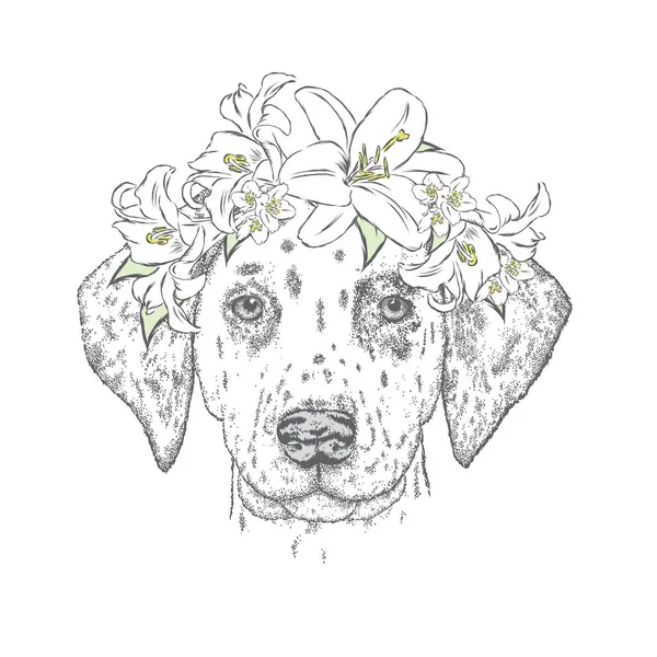 漂亮的小狗在鲜花花圈。可爱的斑点狗。矢量图。狗和百合. — 图库矢量图片
