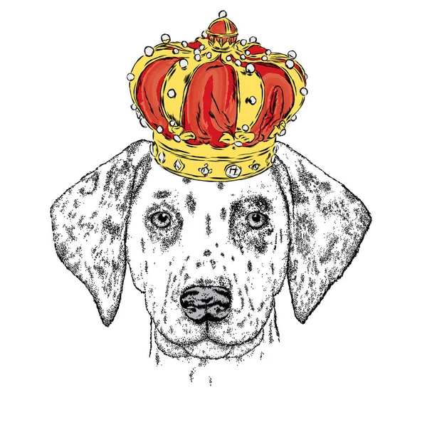 Piękny szczeniak w luksusowym Crown. Ilustracja wektorowa karty lub plakat. Ładny pies. Dalmatyńczyki - król. — Wektor stockowy