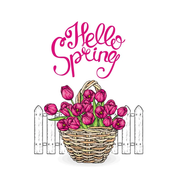 A beautiful bouquet of tulips in a wicker basket. Vector illustration. Spring holiday. Postcard from 8 March or Easter. — Stock Vector