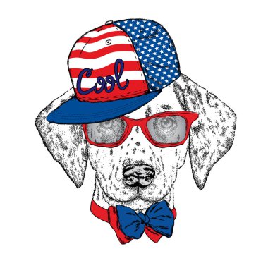 Güzel köpek gözlük, şapka ve kravat. Vektör çizim. Sevimli Dalmaçyalı. Köpek yavrusu.