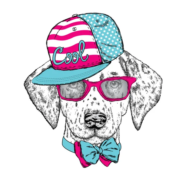 Όμορφο σκυλί με γυαλιά, καπάκι και γραβάτα. Εικονογράφηση διάνυσμα. Χαριτωμένα σκυλιά της Δαλματίας. Το κουτάβι. — Διανυσματικό Αρχείο