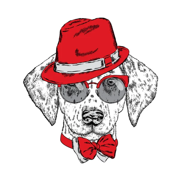 可爱的小狗戴着一顶帽子，太阳镜和一条领带。矢量图。漂亮的小狗。斑点狗. — 图库矢量图片