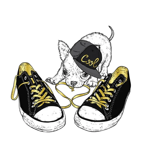 Lindo cachorro jugando con zapatillas. Ilustración vectorial para una tarjeta o póster. Impresión en la ropa . — Vector de stock