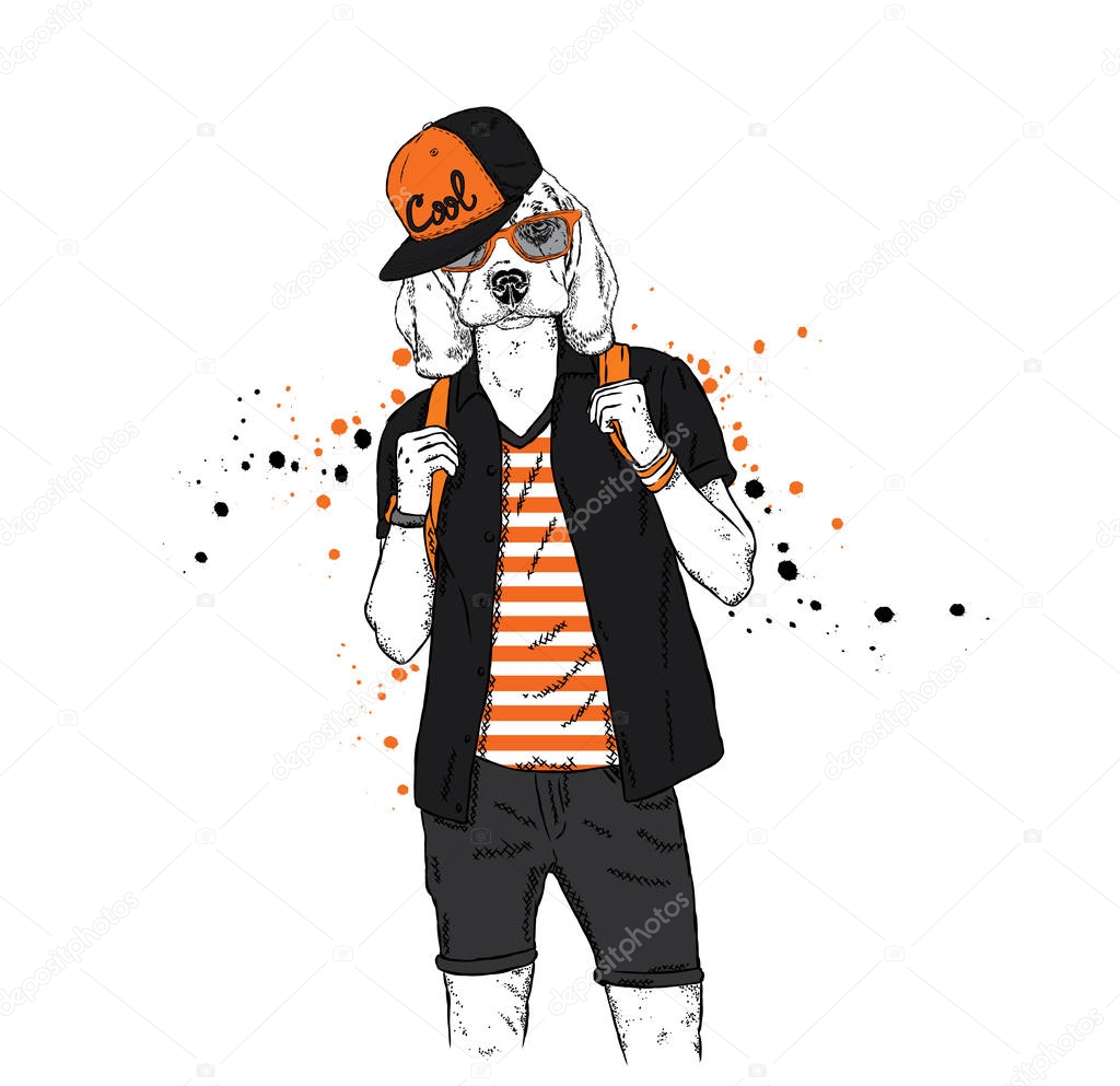 A handsome guy with a dog head dressed in a T-shirt, shirt and shorts. Summer clothes. Vector illustration. Hipster. Beagle.