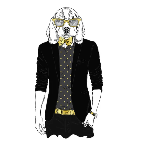 O cão com o corpo humano na roupa na moda. Ilustração vetorial para cartão, cartaz ou impressão em roupas. Moda & Estilo. Hipster. . —  Vetores de Stock