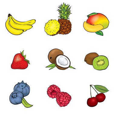 Meyve kümesi. Hindistan cevizi, ananas, muz, ahududu, çilek, yaban mersini, kiraz, kivi ve mango ile vektör çizim. Yaz.