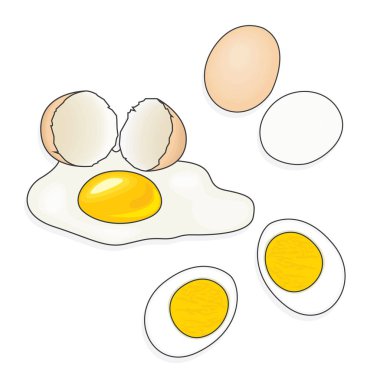 Bütün, kırık ve haşlanmış tavuk yumurta. Vektör çizim. Protein ve yumurta sarısı ile kabuk. Gıda.