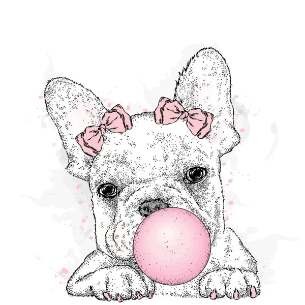 Cute French bulldog with gum. A beautiful dog puffs out a ball of gum. Purebred puppy. Vector illustration for a postcard or a poster, print for clothes. — Stock Vector