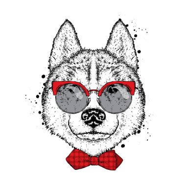 Gözlük ve bir kravat ile güzel bir köpek. Vektör çizim bir kartpostal veya poster, elbiselere yazdırma için. Safkan köpek yavrusu. Husky ya da kurt.