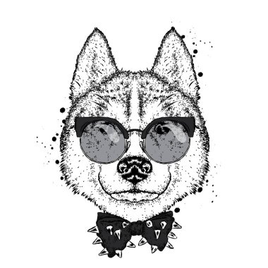 Gözlük ve bir kravat ile güzel bir köpek. Vektör çizim bir kartpostal veya poster, elbiselere yazdırma için. Safkan köpek yavrusu. Husky ya da kurt.