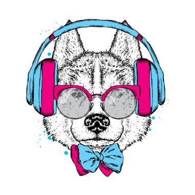 Kulaklıklar, gözlükleri ve bir kravat ile güzel bir köpek. Vektör çizim bir kartpostal veya poster, elbiselere yazdırma için. Safkan köpek yavrusu. Husky ya da kurt.