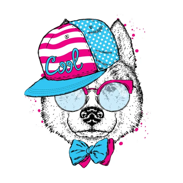 Um lindo cão de boné, óculos e gravata. Ilustração vetorial para um cartão postal ou cartaz, impresso em roupas. Cachorrinho de raça pura. Husky ou lobo . — Vetor de Stock