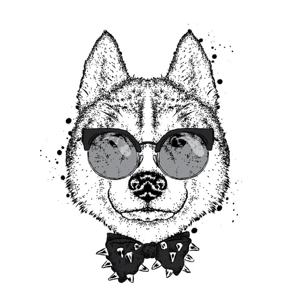 Gözlük ve bir kravat ile güzel bir köpek. Vektör çizim bir kartpostal veya poster, elbiselere yazdırma için. Safkan köpek yavrusu. Husky ya da kurt.