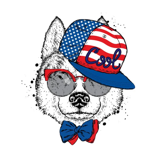 En vacker hund i en mössa, Glasögon och en slips. Vektorillustration för ett vykort eller en affisch, tryck på kläder. Renrasiga valp. Husky eller varg. — Stock vektor