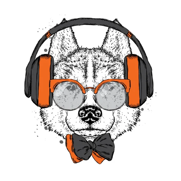 Un hermoso perro con auriculares, gafas y corbata. Ilustración vectorial para una postal o póster, impresa en la ropa. Cachorro de pura raza. Husky o lobo . — Vector de stock