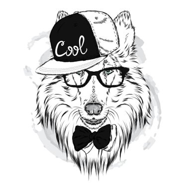 Cins köpekler elle boyanmış. Kömür ocağı bir kap ve güneş gözlüğü takıyor. Vektör çizim.