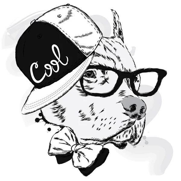 Pitbull στην ΚΓΠ και γραβάτα. Διανυσματικά σκύλος. — Διανυσματικό Αρχείο