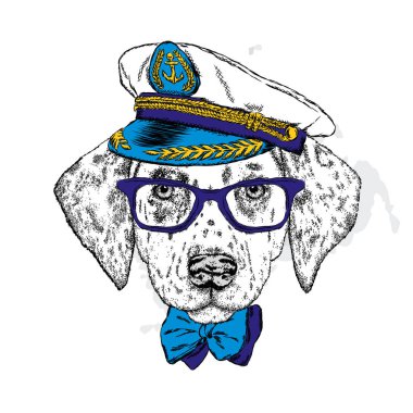 Yakışıklı bir köpek yavrusu bir kap kap, gözlük ve bir kravat. Vektör çizim bir kartpostal veya poster, giysiler için yazdırma için. Moda ve stil. Dalmaçya.