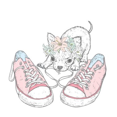 Spor ayakkabı, bir çiçek çelenk ile güzel bir köpek yavrusu. Vektör çizim bir kartpostal veya poster, giysiler için yazdırma için. Moda ve stil.