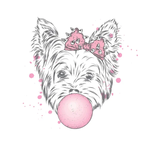Yorkshire Terrier with a bow blows a bubble of gum. Vector illustration for a postcard or a poster, print on clothes. Beautiful dog. Purebred puppy. Vector Graphics