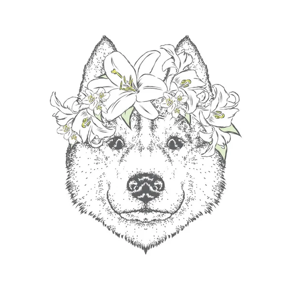 Çiçek çelenk güzel bir köpek. Şirin köpek. Vektör çizim bir kartpostal veya poster, giysiler için yazdırma için. Husky ya da kurt.