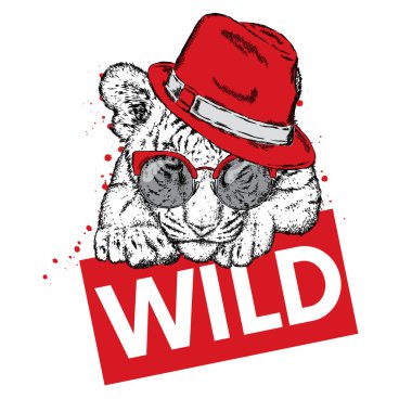 Güzel kaplan gözlük ve şapka ile. Vektör çizim bir kartpostal veya poster, giysi ve aksesuarları için yazdırma için. Vahşi Kaplan bir işareti ile. Moda ve stil.