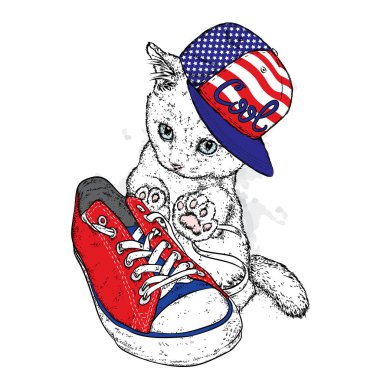 Bir kap ve şık spor ayakkabı de sevimli kedi. Vektör çizim için bir kartpostal veya bir poster. Güzel kedi. Moda ve stil.