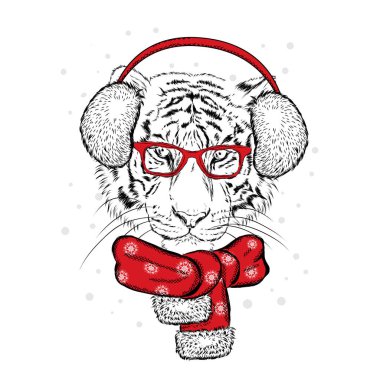 Kış kulaklık ve bir eşarp altında güzel bir kaplan. Vektör çizim için bir kartpostal veya bir poster. Noel Baba. Yeni yıl ve Noel.