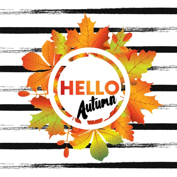 秋季销售传单模板与刻字。明亮的落叶。一张明信片或海报矢量图. — 图库矢量图片