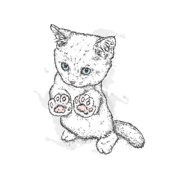 Roztomilá kočička. Vektorové ilustrace pro pohlednici nebo plakát. Krásná kočka. Módní & styl. — Stockový vektor