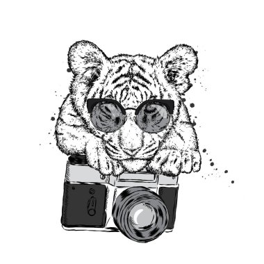 Güzel bir kaplan ile bir fotoğraf makinesi. Vektör çizim için bir kartpostal veya poster, giysiler için yazdırma.