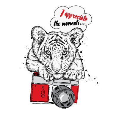 Güzel bir kaplan ile bir fotoğraf makinesi. Vektör çizim için bir kartpostal veya poster, giysiler için yazdırma.