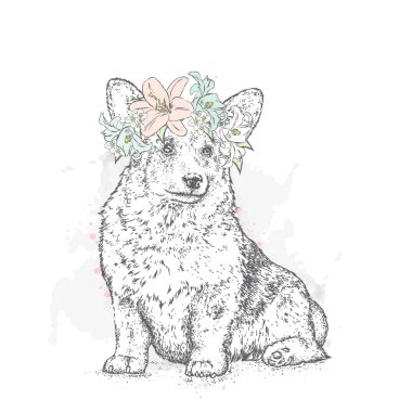 Çok güzel bir çiçek çelenk içinde köpek yavrusu. Vektör çizim bir kartpostal veya poster, giysiler için yazdırma için. Safkan köpek. Galce Corgi. Lilyum ve Yasemin.